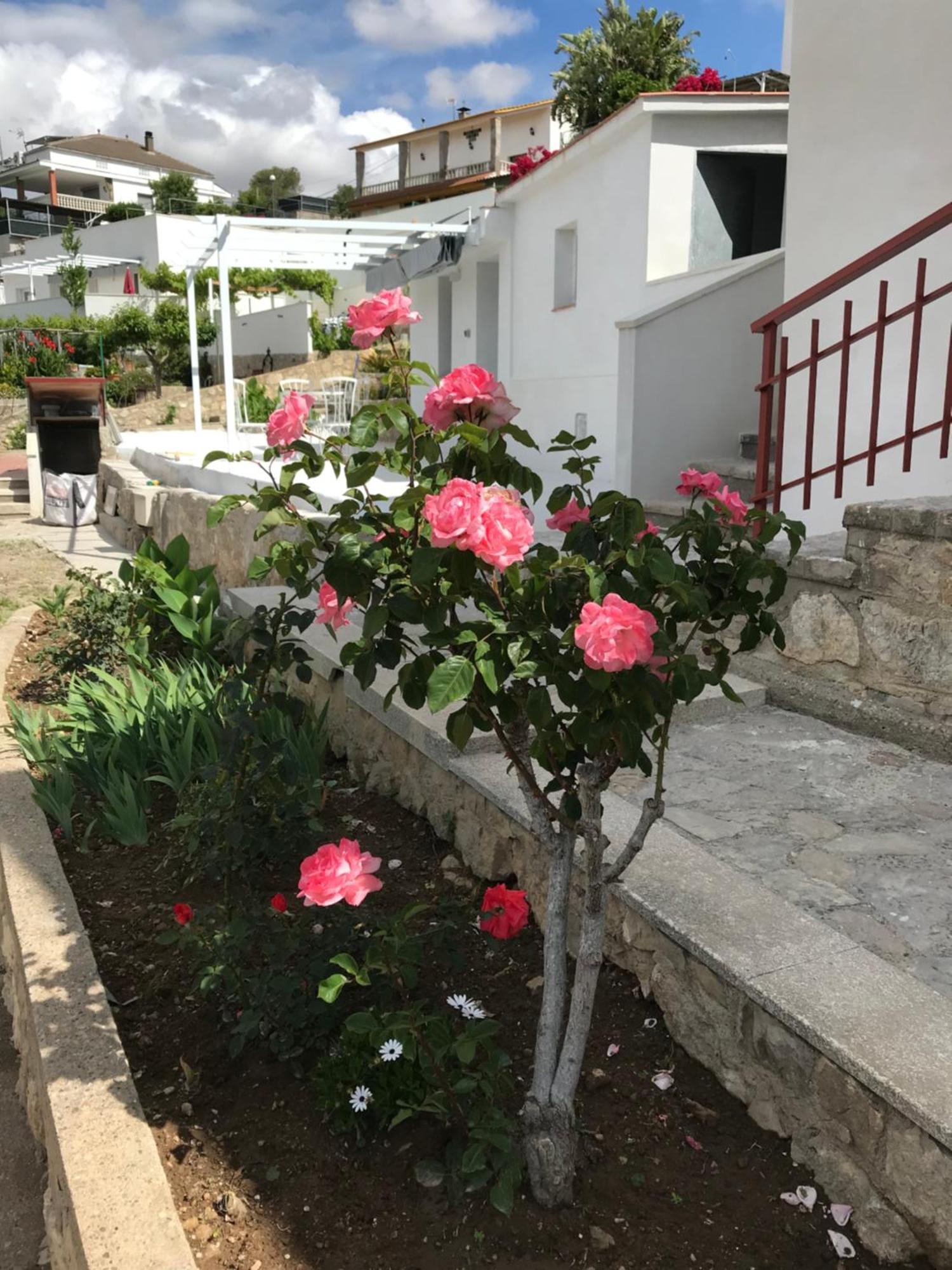 הוילה Olivella Campagne Luxueuse De Sitges מראה חיצוני תמונה